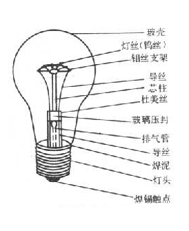 小灯泡构造图片